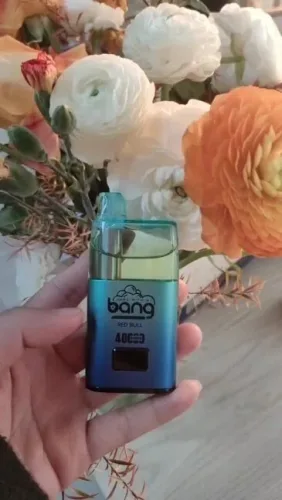 Bang 40000 Puffs Disposable Vape | DTL Electronic Cigarettes 40K Bulk Wholesale photo review