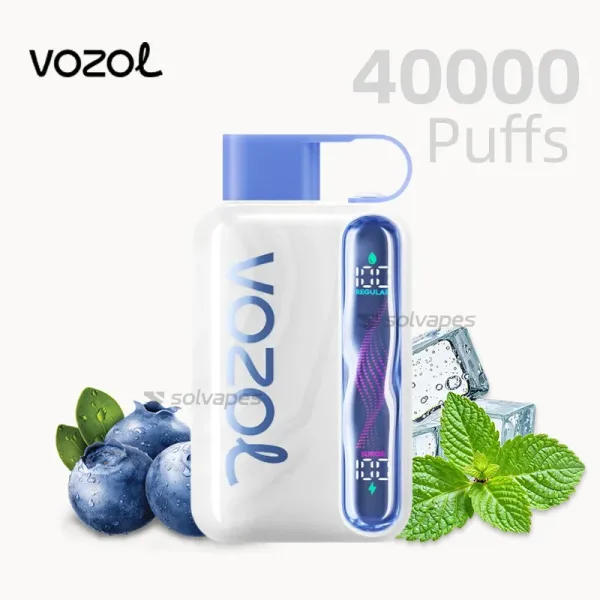 VOZOL Star 40000 disposable vape in Blueberry Mint flavor with product box and nicotine warning label displayed.