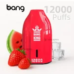 Bang King 12000 Puffs Disposable Vape Strawberry Watermelon Ice