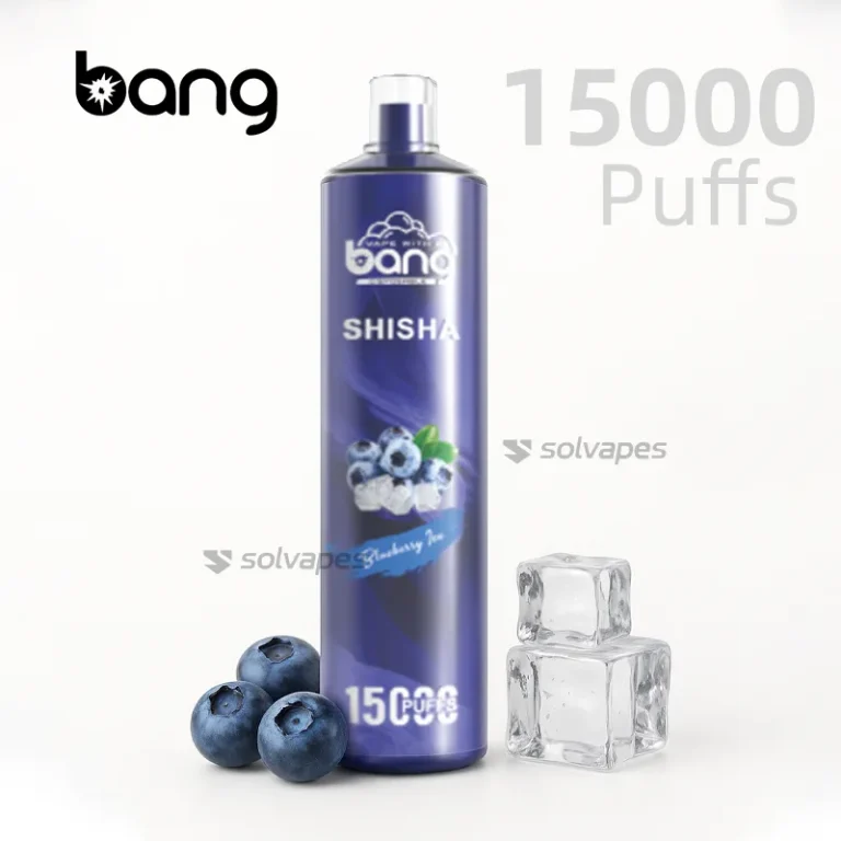 Bang Shisha 15000 Puffs disposable vape BlueBerry Ice flavor with fruit graphics.