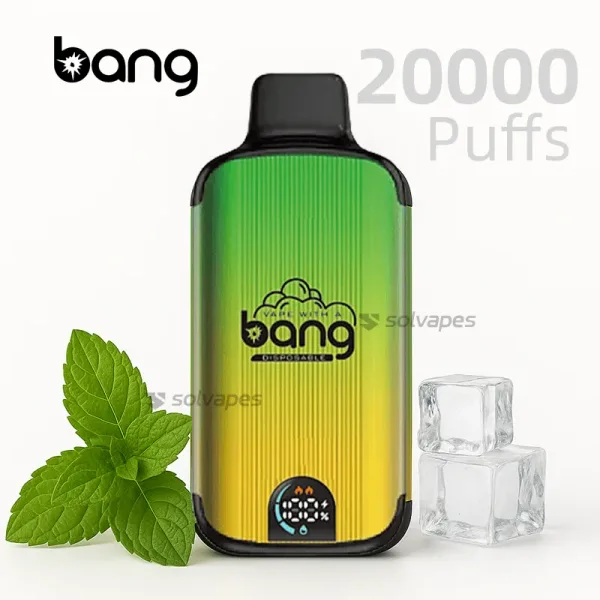 Bang 20000 puffs disposable vape with box packaging – Mint Ice flavor