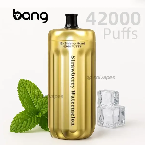 Bang Shisha 42000 puffs Mint Ice disposable e-shisha head vape