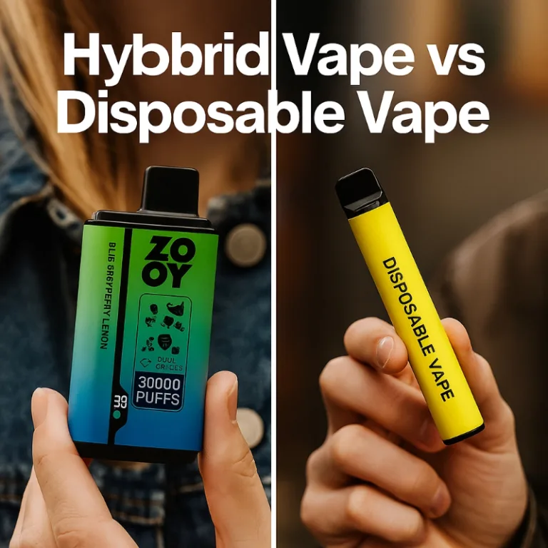 Hybrid Vape vs Disposable Vape comparison, showing modern vape choices.