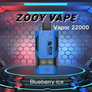 ZOOY Vapor 22000 Blueberry Ice Disposable Vape