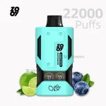 Zooy Vapor 22000 Puffs disposable vape Blue-Razz-Ice flavor with smart display