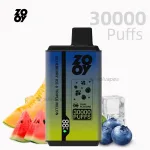 ZOOY Twins 30000 Puffs Vape – Blueberry Ice & Triplemelon Dual Flavours