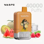 Waspe 40000 puffs dual flavor disposable vape with Triple Melon Ice & Raspberry Watermelon flavor.
