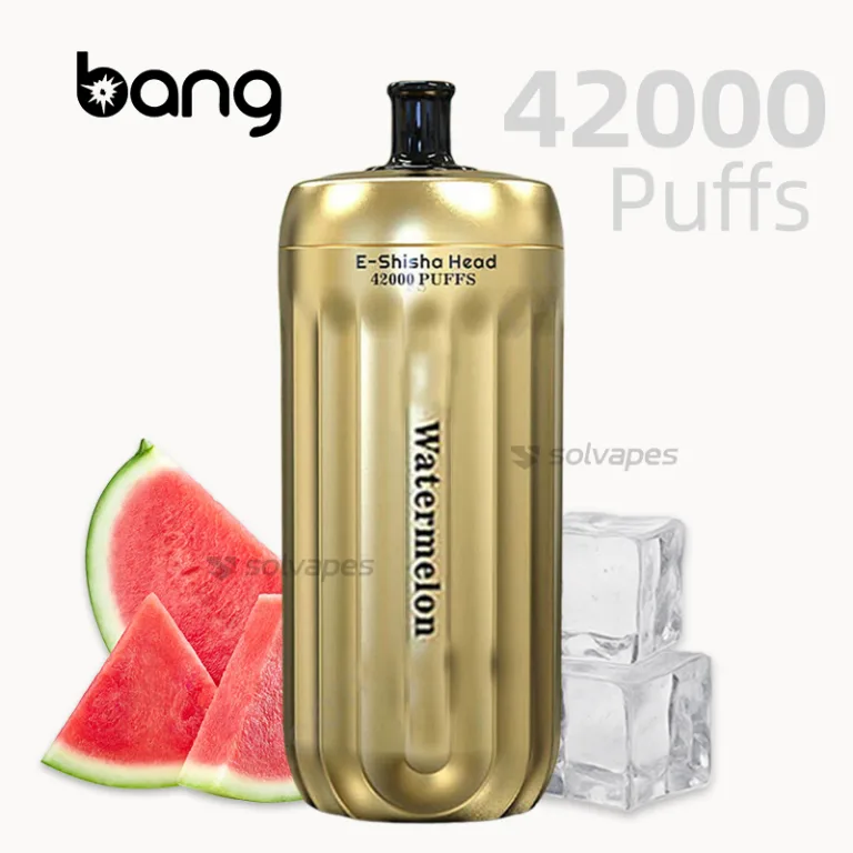 Bang Shisha 42000 puffs e shisha head switch disposable vape