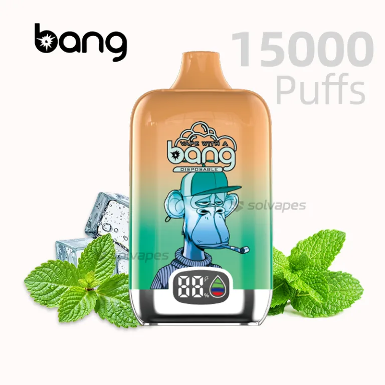 Bang King 15000 Puffs Cool Mint Disposable Vape