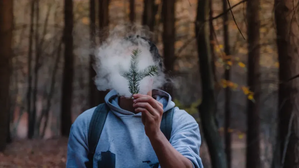 Person holding a pine branch while exhaling vape smoke in the forest.