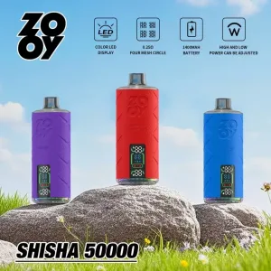 What Makes ZOOY SHISHA 50000 the Top Pick for Flavor and Performance